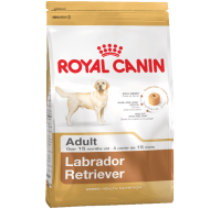 Labrador Royal Canin